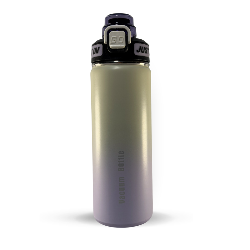 JUST IN VACUUM WATER BOTTLES | 750ML | PURPLE